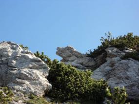 Strane rocce di forma animalesca